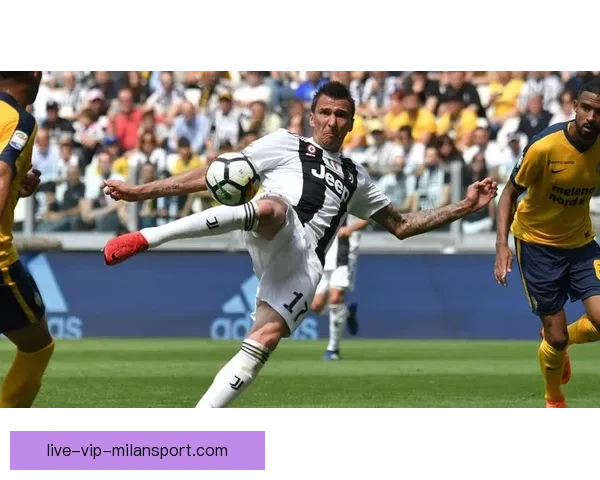 腾讯足球视频直播回放平台全面升级实时赛事精彩瞬间随时回放